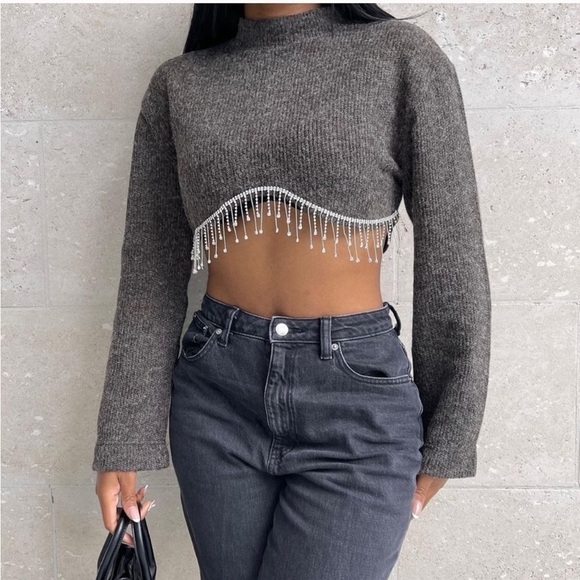 Zara Dark Gray Jewel Crystal Fringe sweater - Picture 2 of 14